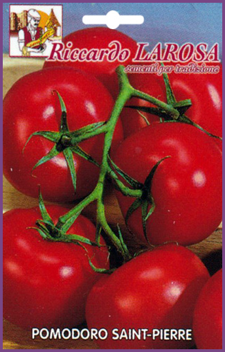 Tomate Grappe Rouge Saint Pierre